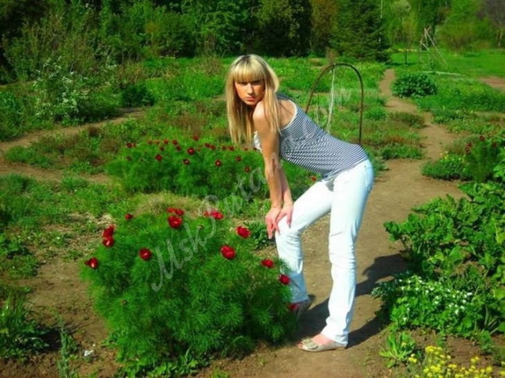 Проститутки