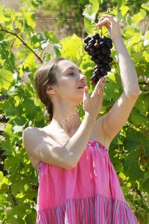 Проститутки