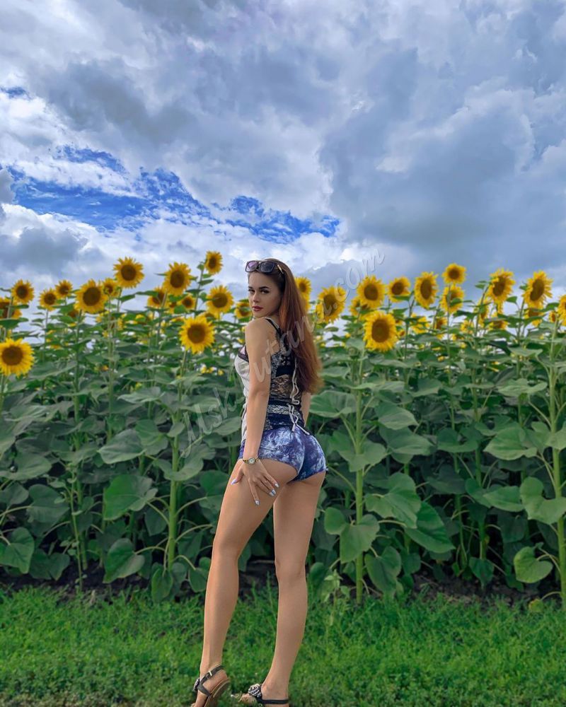 Проститутки