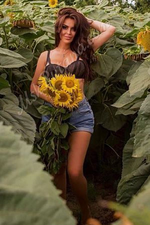 ВИКА, метро Локомотив